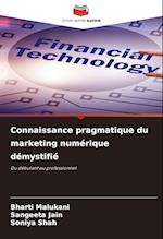 Connaissance pragmatique du marketing numérique démystifié