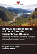 Banque de semences du sol de la forêt de Hugumbrda, Éthiopie