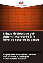 Brique écologique sol-ciment incorporée à la fibre de coco de Babassu