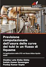 Previsione computazionale dell'usura delle curve dei tubi in un flusso di liquame