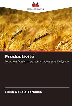 Productivité