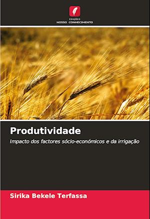 Produtividade