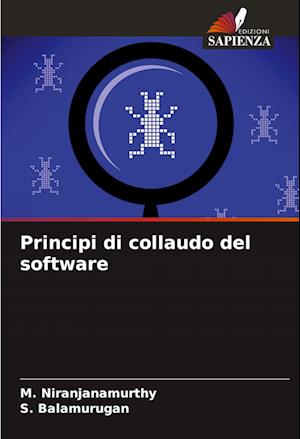 Principi di collaudo del software