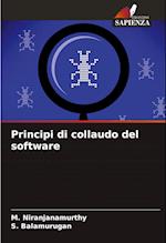 Principi di collaudo del software