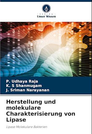 Herstellung und molekulare Charakterisierung von Lipase