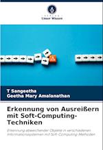 Erkennung von Ausreißern mit Soft-Computing-Techniken