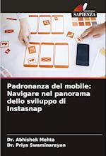 Padronanza del mobile: Navigare nel panorama dello sviluppo di Instasnap