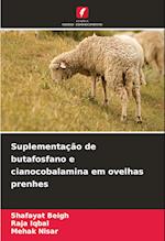 Suplementação de butafosfano e cianocobalamina em ovelhas prenhes