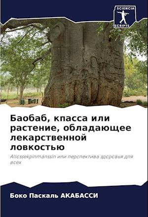 Baobab, kpassa ili rastenie, obladaüschee lekarstwennoj lowkost'ü