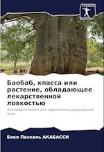 Baobab, kpassa ili rastenie, obladaüschee lekarstwennoj lowkost'ü