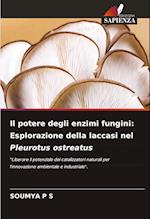 Il potere degli enzimi fungini: Esplorazione della laccasi nel Pleurotus ostreatus