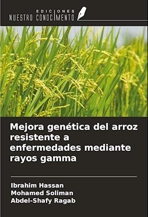 Mejora genética del arroz resistente a enfermedades mediante rayos gamma