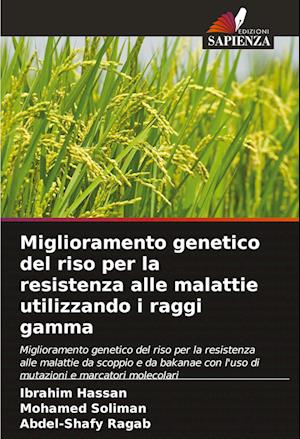 Miglioramento genetico del riso per la resistenza alle malattie utilizzando i raggi gamma