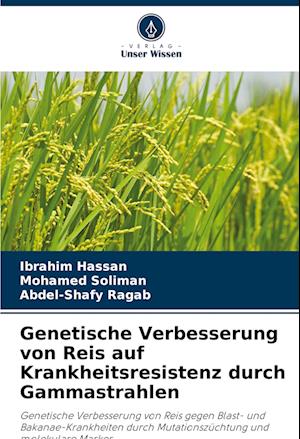 Genetische Verbesserung von Reis auf Krankheitsresistenz durch Gammastrahlen