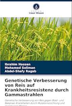 Genetische Verbesserung von Reis auf Krankheitsresistenz durch Gammastrahlen