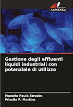 Gestione degli effluenti liquidi industriali con potenziale di utilizzo