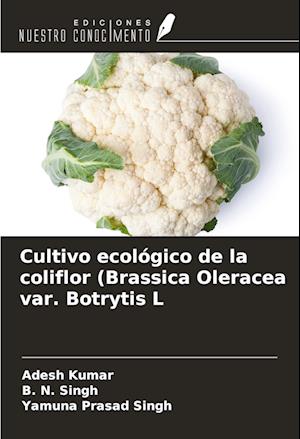 Cultivo ecológico de la coliflor (Brassica Oleracea var. Botrytis L