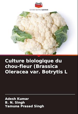 Culture biologique du chou-fleur (Brassica Oleracea var. Botrytis L