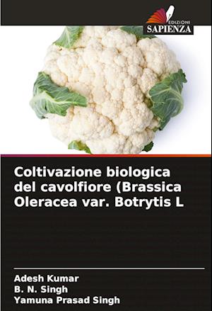 Coltivazione biologica del cavolfiore (Brassica Oleracea var. Botrytis L