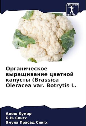 Organicheskoe wyraschiwanie cwetnoj kapusty (Brassica Oleracea var. Botrytis L.