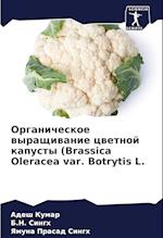 Organicheskoe wyraschiwanie cwetnoj kapusty (Brassica Oleracea var. Botrytis L.