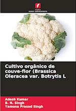 Cultivo orgânico de couve-flor (Brassica Oleracea var. Botrytis L