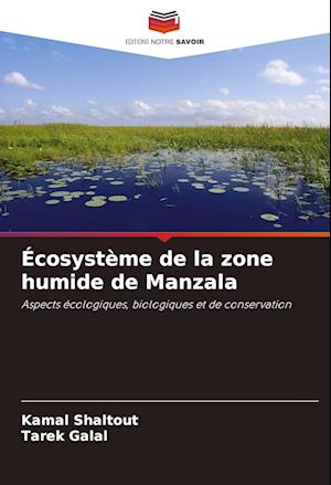 Écosystème de la zone humide de Manzala