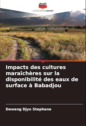 Impacts des cultures maraîchères sur la disponibilité des eaux de surface à Babadjou