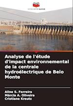 Analyse de l'étude d'impact environnemental de la centrale hydroélectrique de Belo Monte