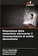 Risoluzione della metonimia attraverso il riconoscimento di entità denominate