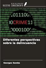 Diferentes perspectivas sobre la delincuencia