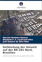 Gefährdung der Umwelt auf der BR-101 Nord, Brasilien