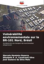 Vulnérabilité environnementale sur la BR-101 Nord, Brésil