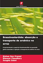 Brassinosteróide: absorção e transporte de arsênico no arroz