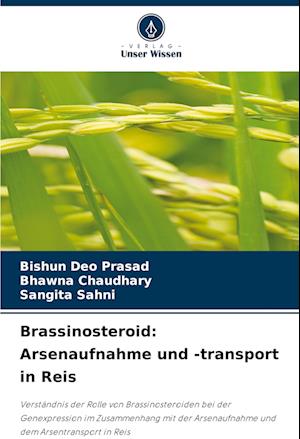 Brassinosteroid: Arsenaufnahme und -transport in Reis