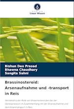 Brassinosteroid: Arsenaufnahme und -transport in Reis