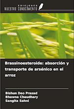 Brassinoesteroide: absorción y transporte de arsénico en el arroz