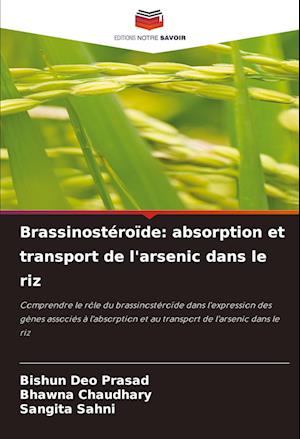 Brassinostéroïde: absorption et transport de l'arsenic dans le riz