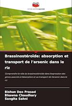 Brassinostéroïde: absorption et transport de l'arsenic dans le riz