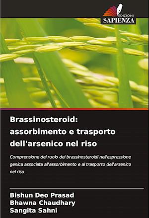 Brassinosteroid: assorbimento e trasporto dell'arsenico nel riso