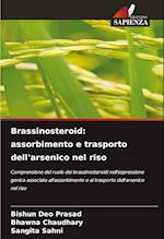 Brassinosteroid: assorbimento e trasporto dell'arsenico nel riso