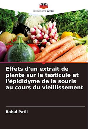 Effets d'un extrait de plante sur le testicule et l'épididyme de la souris au cours du vieillissement