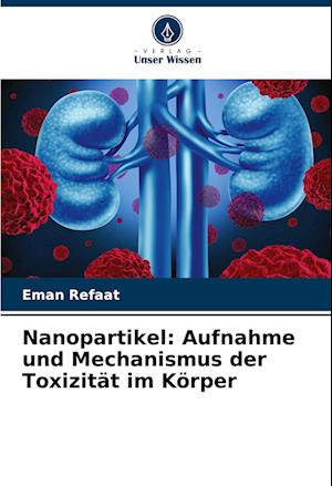 Nanopartikel: Aufnahme und Mechanismus der Toxizität im Körper