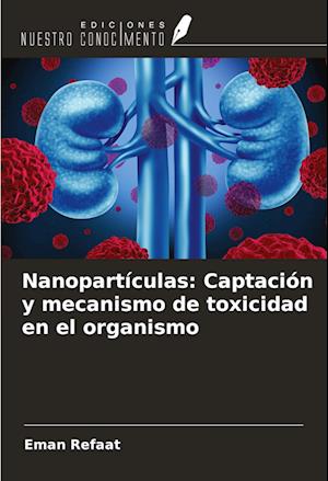 Nanopartículas: Captación y mecanismo de toxicidad en el organismo