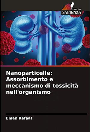 Nanoparticelle: Assorbimento e meccanismo di tossicità nell'organismo