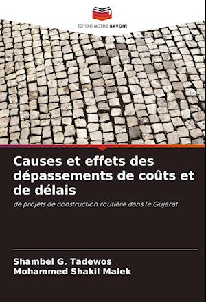 Causes et effets des dépassements de coûts et de délais