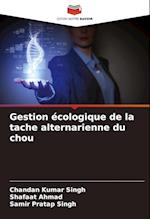 Gestion écologique de la tache alternarienne du chou