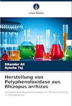 Herstellung von Polyphenoloxidase aus Rhizopus arrhizus