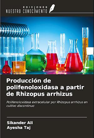 Producción de polifenoloxidasa a partir de Rhizopus arrhizus