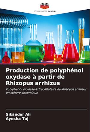 Production de polyphénol oxydase à partir de Rhizopus arrhizus